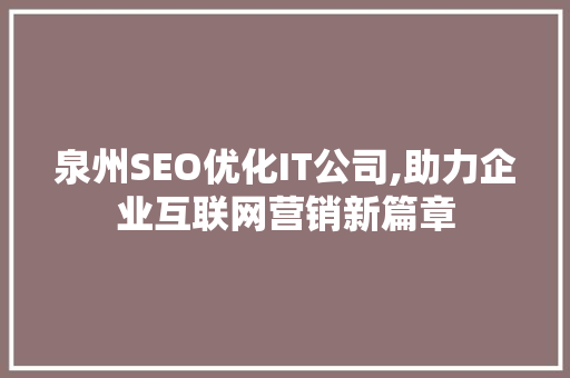 泉州SEO优化IT公司,助力企业互联网营销新篇章  第1张