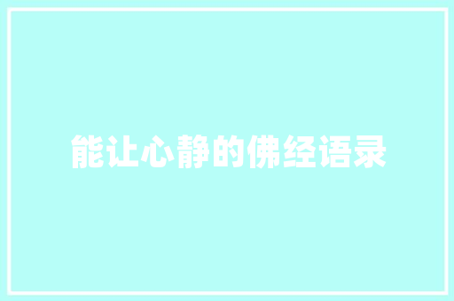 淮滨SEO网络推广公司助力企业提升在线竞争力