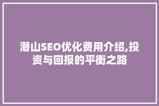 潜山SEO优化费用介绍,投资与回报的平衡之路