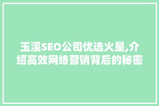 玉溪SEO公司优选火星,介绍高效网络营销背后的秘密