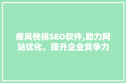 疾风快排SEO软件,助力网站优化，提升企业竞争力