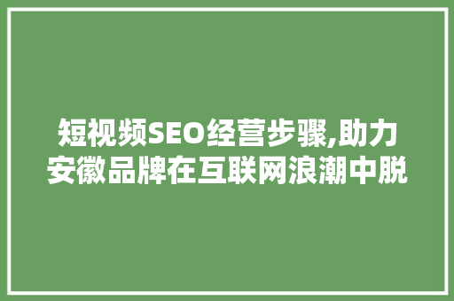短视频SEO经营步骤,助力安徽品牌在互联网浪潮中脱颖而出