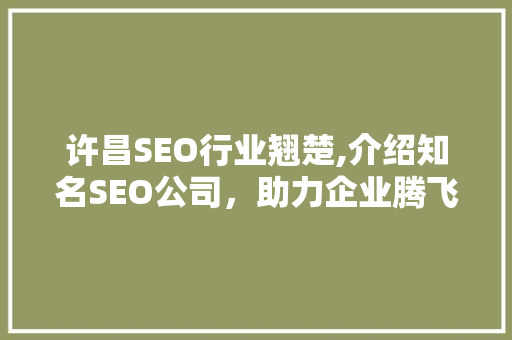 许昌SEO行业翘楚,介绍知名SEO公司，助力企业腾飞