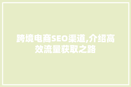 跨境电商SEO渠道,介绍高效流量获取之路