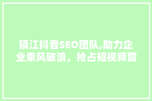 镇江抖音SEO团队,助力企业乘风破浪，抢占短视频营销制高点