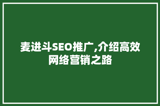 麦进斗SEO推广,介绍高效网络营销之路  第1张