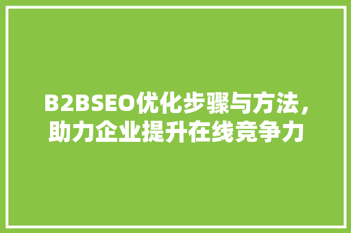 B2BSEO优化步骤与方法，助力企业提升在线竞争力