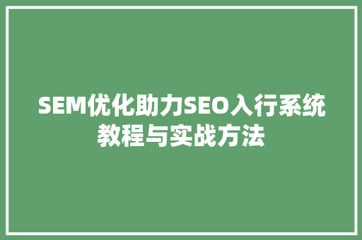 SEM优化助力SEO入行系统教程与实战方法
