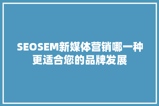 SEOSEM新媒体营销哪一种更适合您的品牌发展
