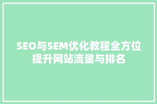 SEO与SEM优化教程全方位提升网站流量与排名