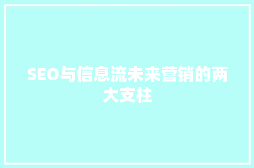 SEO与信息流未来营销的两大支柱