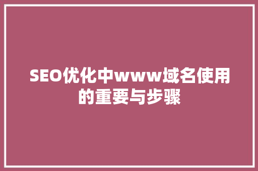 SEO优化中www域名使用的重要与步骤