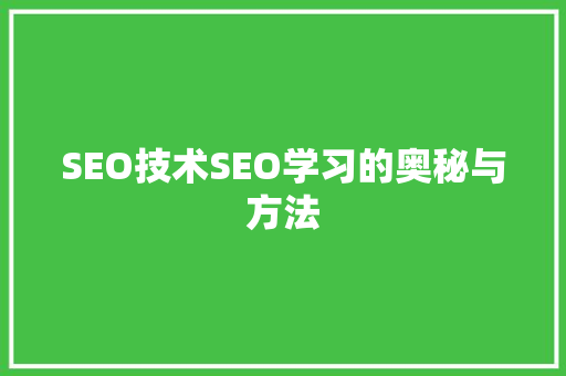 SEO技术SEO学习的奥秘与方法