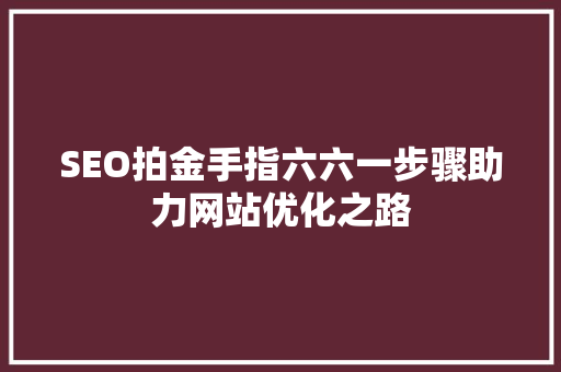 SEO拍金手指六六一步骤助力网站优化之路