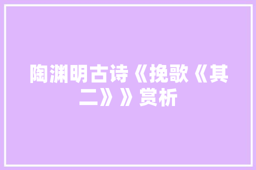 企业层级代码解码企业组织结构与管理效能