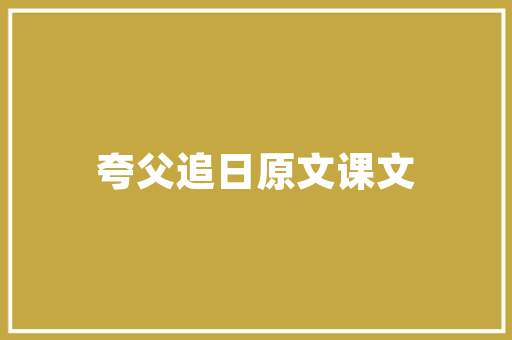 企信代码企业信用体系的数字化映射