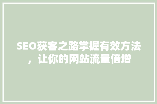 SEO获客之路掌握有效方法，让你的网站流量倍增