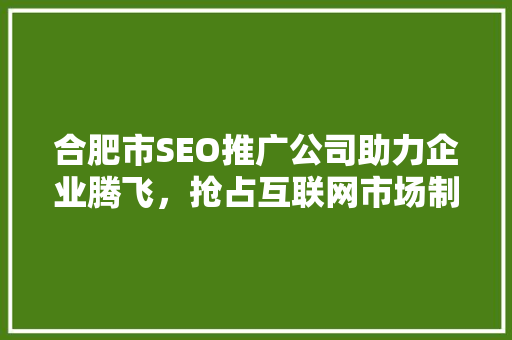 合肥市SEO推广公司助力企业腾飞，抢占互联网市场制高点