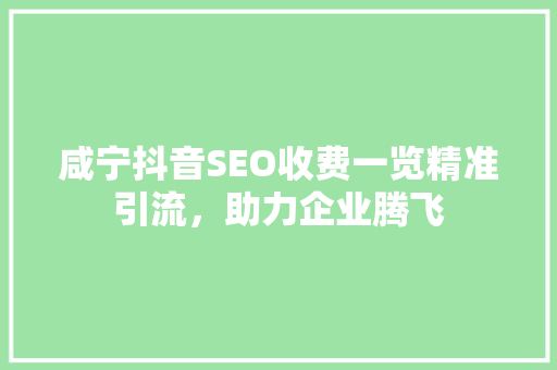 咸宁抖音SEO收费一览精准引流，助力企业腾飞