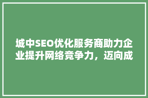 城中SEO优化服务商助力企业提升网络竞争力，迈向成功之路
