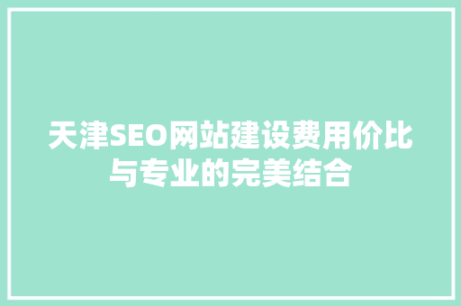 天津SEO网站建设费用价比与专业的完美结合