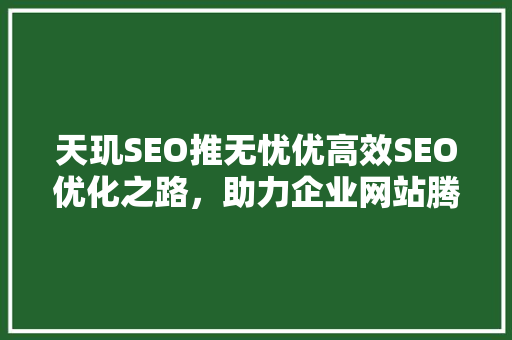 天玑SEO推无忧优高效SEO优化之路，助力企业网站腾飞