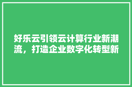 好乐云引领云计算行业新潮流，打造企业数字化转型新引擎