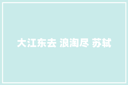 安顺SEO优化公司收费标准背后的真相与步骤