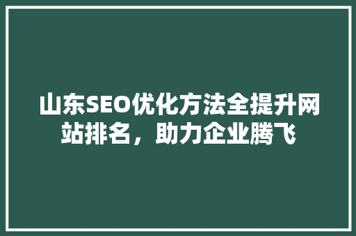 山东SEO优化方法全提升网站排名，助力企业腾飞