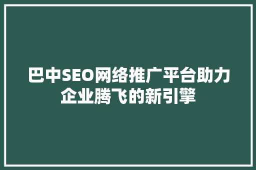 巴中SEO网络推广平台助力企业腾飞的新引擎
