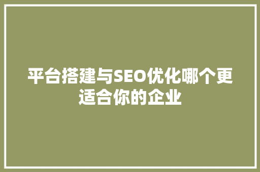 平台搭建与SEO优化哪个更适合你的企业