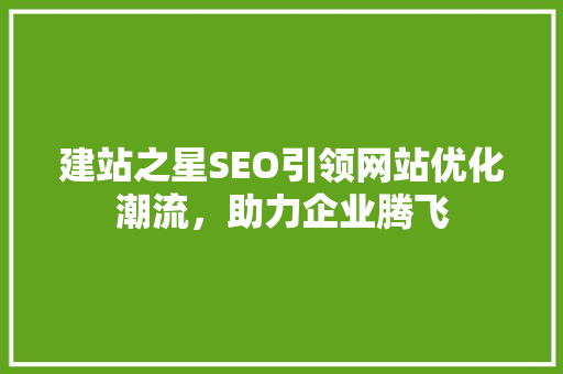 建站之星SEO引领网站优化潮流，助力企业腾飞