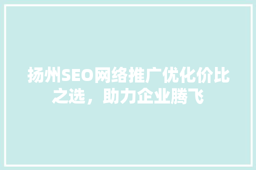扬州SEO网络推广优化价比之选，助力企业腾飞