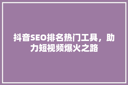 抖音SEO排名热门工具，助力短视频爆火之路