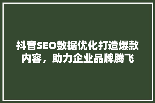 抖音SEO数据优化打造爆款内容，助力企业品牌腾飞