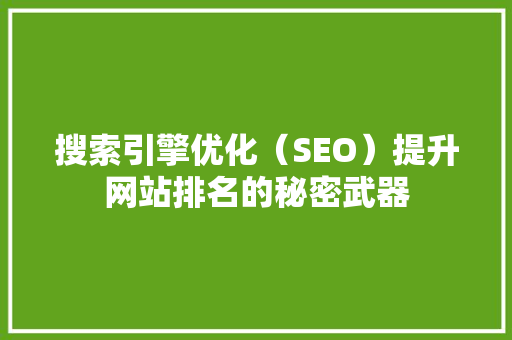 搜索引擎优化（SEO）提升网站排名的秘密武器