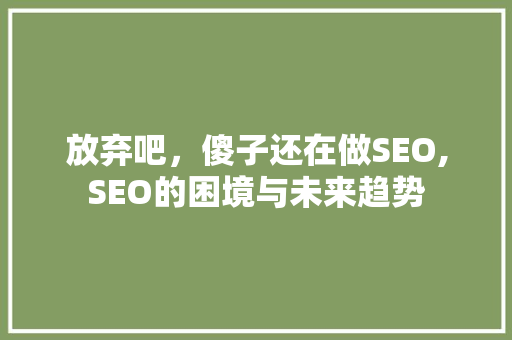 放弃吧，傻子还在做SEO,SEO的困境与未来趋势