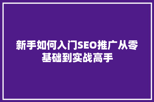 新手如何入门SEO推广从零基础到实战高手