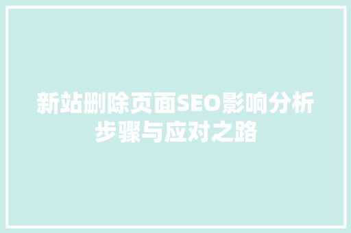 新站删除页面SEO影响分析步骤与应对之路