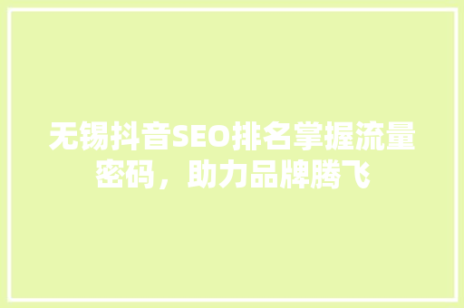 无锡抖音SEO排名掌握流量密码，助力品牌腾飞