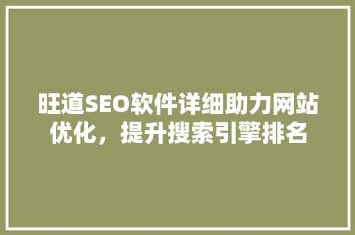 旺道SEO软件详细助力网站优化，提升搜索引擎排名
