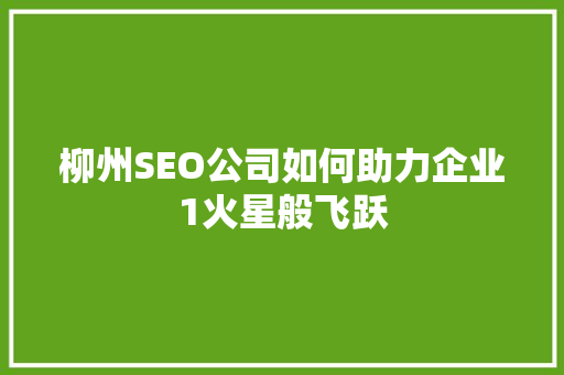 柳州SEO公司如何助力企业1火星般飞跃