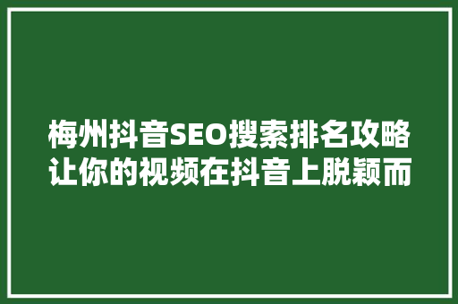 梅州抖音SEO搜索排名攻略让你的视频在抖音上脱颖而出