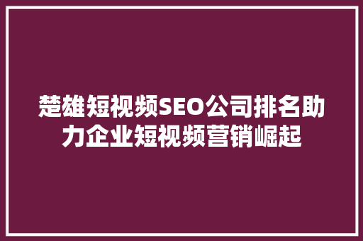 楚雄短视频SEO公司排名助力企业短视频营销崛起