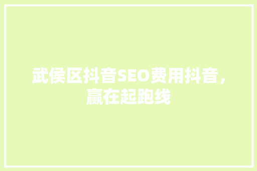武侯区抖音SEO费用抖音，赢在起跑线