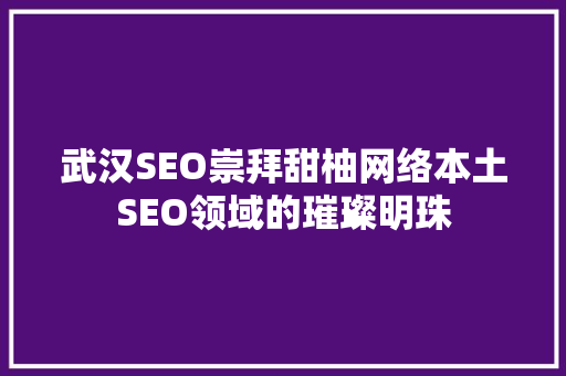 武汉SEO崇拜甜柚网络本土SEO领域的璀璨明珠