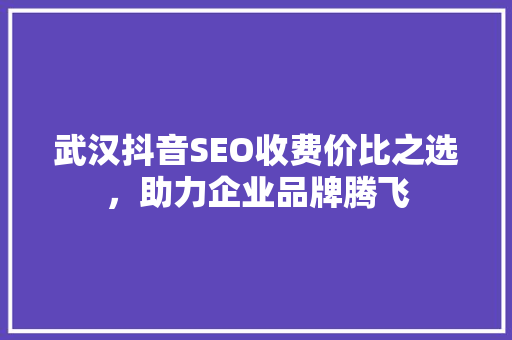 武汉抖音SEO收费价比之选，助力企业品牌腾飞