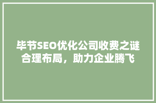 毕节SEO优化公司收费之谜合理布局，助力企业腾飞