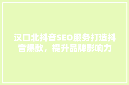 汉口北抖音SEO服务打造抖音爆款，提升品牌影响力