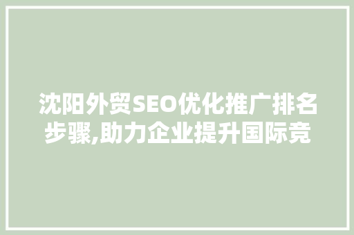 沈阳外贸SEO优化推广排名步骤,助力企业提升国际竞争力